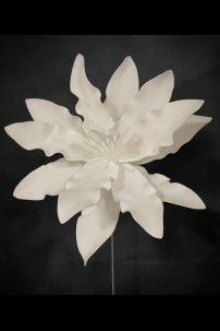 WHITE FOAM FLOWER  [FF705152]
